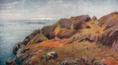  作： Thomas Mower Martin