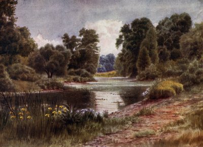 キュー・ガーデンThe Lake, Looking South（カラーリトグラフ 作： Thomas Mower Martin