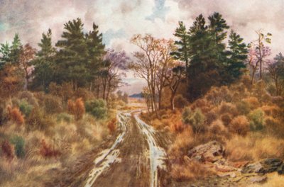ファンディ湾近くの道路、秋（カラーリトグラフ） 作： Thomas Mower Martin