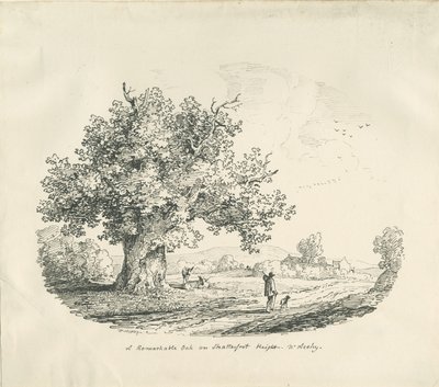 アーリー-シャッターフォートの高さ：リトグラフ、1839年 作： Thomas Peploe Wood