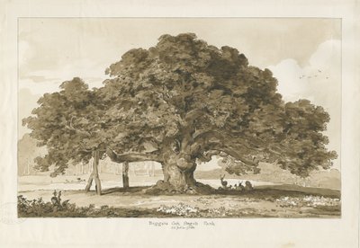 Blithfield-乞食のオーク：セピア画、1837年 作： Thomas Peploe Wood