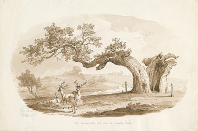 チャートリーホール-公園：セピア色の描画（ビネット） 作： Thomas Peploe Wood