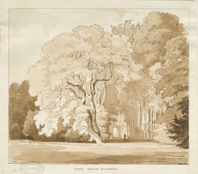 インガスター-木の研究：セピア色の描画、nd [？1838]（描画） 作： Thomas Peploe Wood