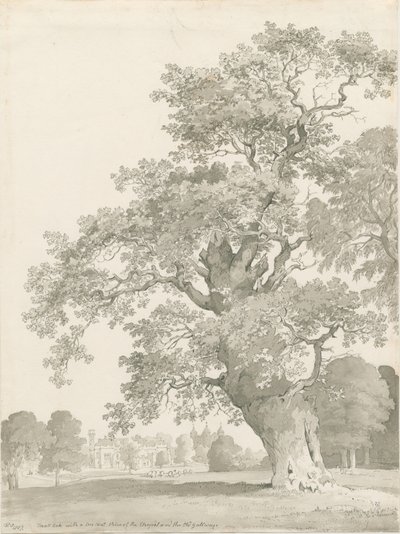 ティクソール-オークツリー：ペンとウォッシュの描画 作： Thomas Peploe Wood