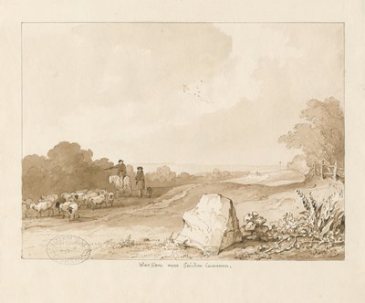 トライスル-「セイドンコモン近くのウォーストーン」：ペンとセピアのウォッシュの描画、1837 作： Thomas Peploe Wood