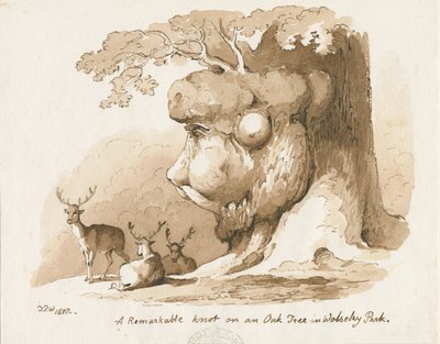 ウォルズリーパーク-オークの木の結び目：ペンとセピア色の描画 作： Thomas Peploe Wood