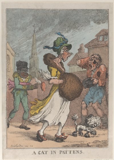 パッテンスの猫、1812年、1812年。 作： Thomas Rowlandson