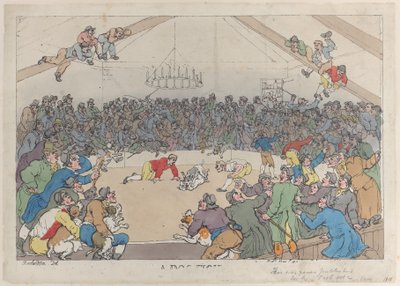 ドッグファイト、1811 年 5 月 1 日、1811 年 5 月 1 日。 作： Thomas Rowlandson