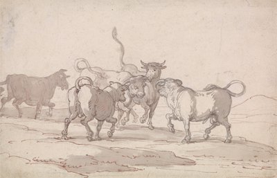 今にも戦おうとしている5頭の雄牛の群れ 作： Thomas Rowlandson