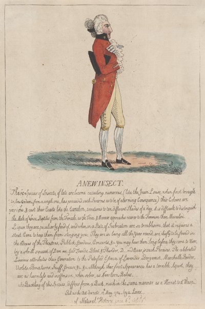 新しい昆虫 作： Thomas Rowlandson
