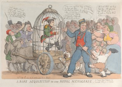 1815 年 7 月 28 日の王立動物園へのまれな買収、1815 年 7 月 28 日。 作： Thomas Rowlandson