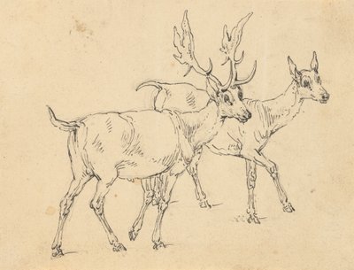 アルバムの描画 作： Thomas Rowlandson