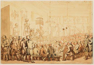 ロイヤル・アカデミー・オブ・アーツでの解剖学講義 作： Thomas Rowlandson