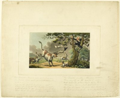 The Tour of Doctor Syntax より、牡牛に追われた Doctor Syntax 作： Thomas Rowlandson