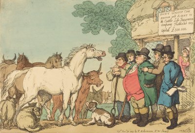 1809年に出版された「Insurable Cattle」。 作： Thomas Rowlandson