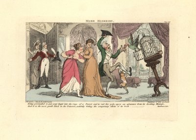 応接室でオウムと猫に襲われる男。 作： Thomas Rowlandson