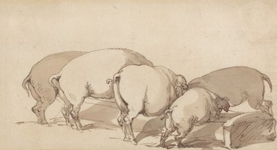 餌箱の豚たち 作： Thomas Rowlandson