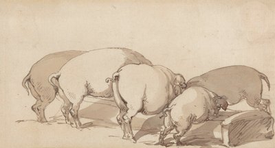 トラフの豚、1790年頃（ペンとインクを使用したグラファイトと紙に茶色のウォッシュ） 作： Thomas Rowlandson