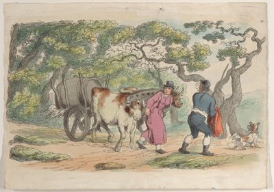 プレート 40、World in Miniature、1816 年より。, 1816. 作： Thomas Rowlandson