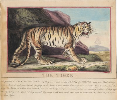 タイトルページ付きの8点セット。『外国および国内の動物』。5. オオカミ 作： Thomas Rowlandson