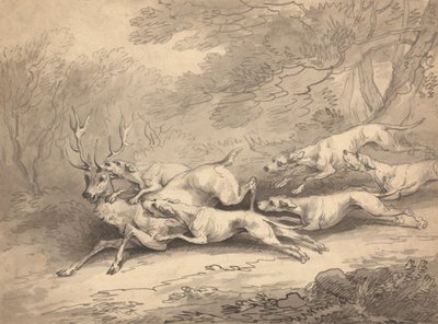 犬の一群に襲われて倒された雄鹿 作： Thomas Rowlandson