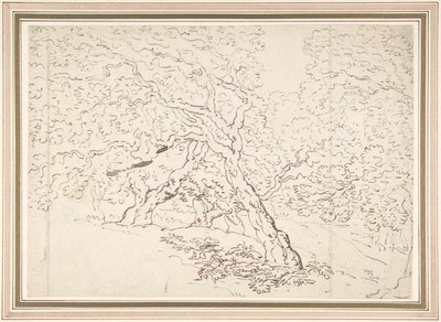 樹木に関する研究 作： Thomas Rowlandson