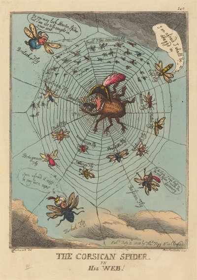 網にかかるコルシカ島のクモ 作： Thomas Rowlandson
