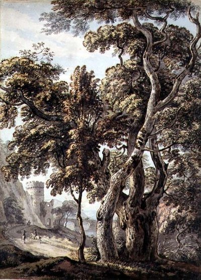 樹木の習作（紙にペン・インク、水彩） 作： Thomas Sandby