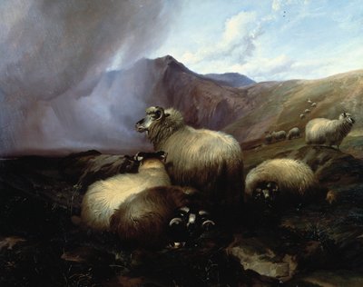 山岳風景の中のハイランド羊、1854年 作： Thomas Sidney Cooper