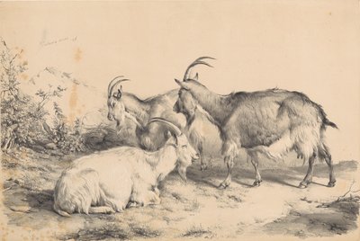  作： Thomas Sidney Cooper