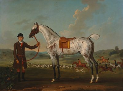 Scipio, täplikäs metsästäjä, eversti Rochen omaisuutta 作： Thomas Spencer