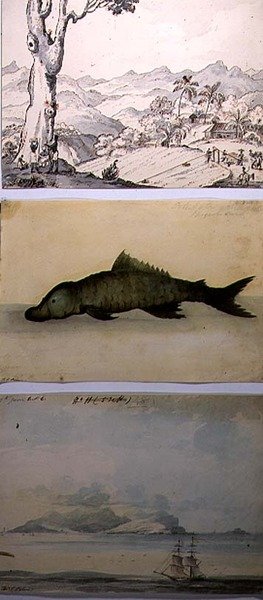 リチャード・ベントレー著「西インド諸島とアメリカの兵士の回想」からの3枚のイラスト 作： Thomas Staunton St. Clair