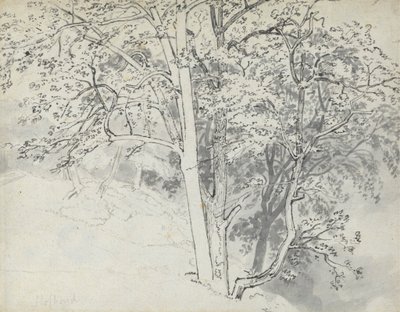 木の研究 作： Thomas Stothard