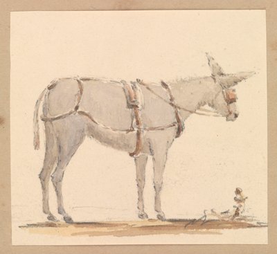 手綱と馬具をつけたロバの習作 1820年頃 （紙に鉛筆、茶とグレーのウォッシュ仕上げ） 作： Thomas Streatfeild