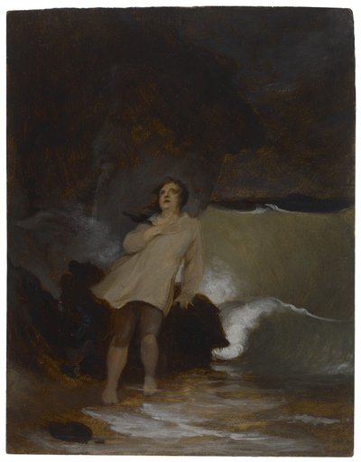 ロビンソンクルーソーの難破船、1856年 作： Thomas Sully