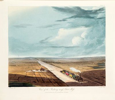 レインヒル ブリッジ、チャット モス、リバプール近郊、1831 年 作： Thomas Talbot Bury