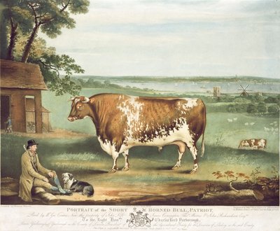 ウィリアムワード、シュルーズベリー、1810年に刻まれたパトリオットの短角の雄牛（カラー彫刻） 作： Thomas Weaver