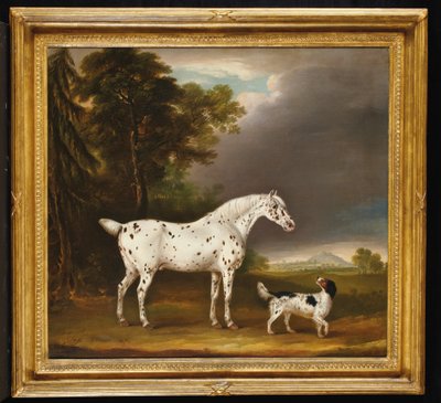 アパルーサ馬とスパニエル、1807年 作： Thomas Weaver