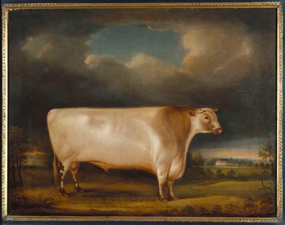 コメット、1811年の風景の中の軽ローン短角牛 作： Thomas Weaver