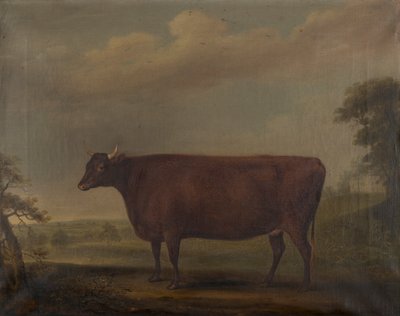 風景の中の赤いデボン雌牛、1812年頃（キャンバスに油彩） 作： Thomas Weaver