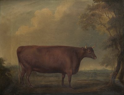 風景の中の赤いデボン雌牛、1812年頃（キャンバスに油彩） 作： Thomas Weaver