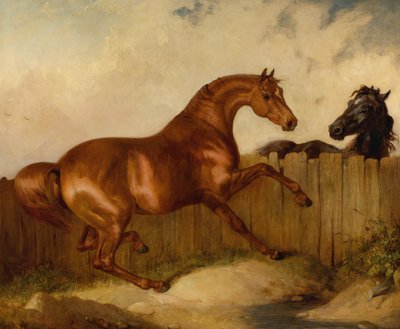 牡馬と牝馬（油彩・キャンバス 作： Thomas Woodward