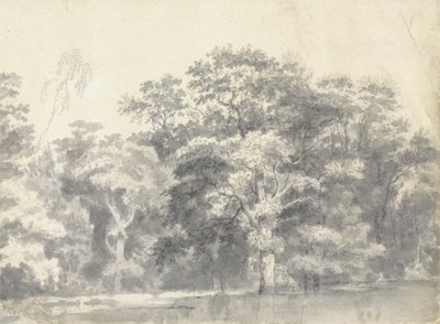 川岸の木々 作： Thomas Wyck