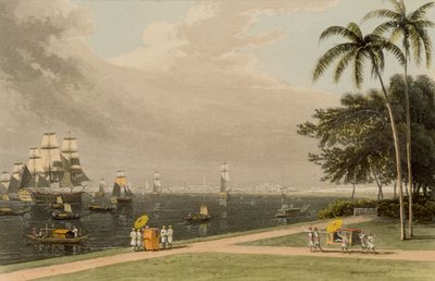 ガーデンリーチからのカルカッタの眺め、1810年 作： Thomas und William Daniell