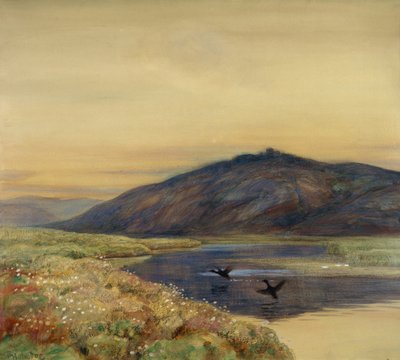 鳥のいる風景 作： Thorolf Holmboe