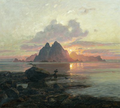 白夜のPhalacrocoarax aristotelis 作： Thorolf Holmboe