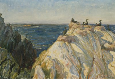 海鳥 作： Thorolf Holmboe