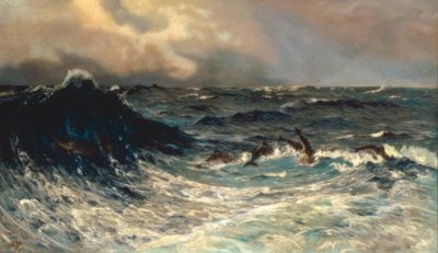 イルカと一緒に湖を移動 作： Thorvald Niss