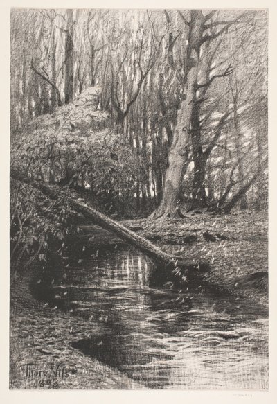 小川のある森の風景 作： Thorvald Niss