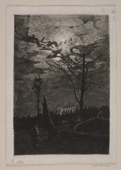 森林破壊。 夜 作： Thorvald Niss
